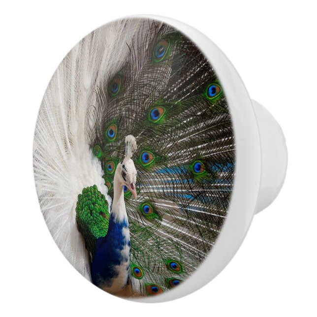 Bouton De Porte En Céramique Paon bleu blanc (Droite)