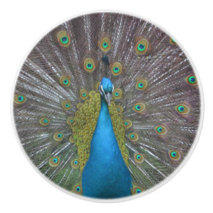 Bouton De Porte En Céramique Paon renversant