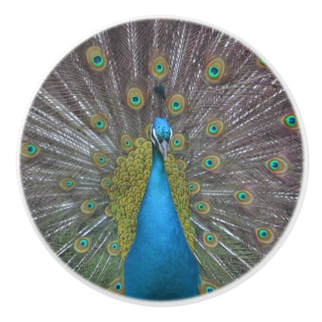 Bouton De Porte En Céramique Paon renversant (Devant)