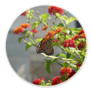 Bouton De Porte En Céramique Papillon monarque sur le papillon rouge Bush