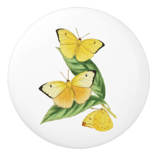 Bouton De Porte En Céramique Papillon Statira de Colias