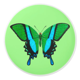 Bouton De Porte En Céramique Papillon Swallowtail en vert, turquoise et noir