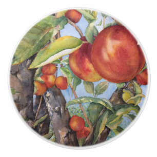 Bouton De Porte En Céramique Pêche à l'aquarelle Récolte de fruits d'orchidées 