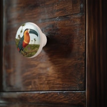 Peinture Toucan
