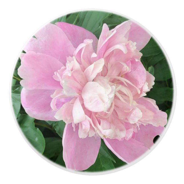 Bouton De Porte En Céramique Peony Knob (Devant)