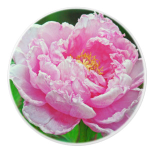 BOUTON DE PORTE EN CÉRAMIQUE PEONY ROSE FRILLY