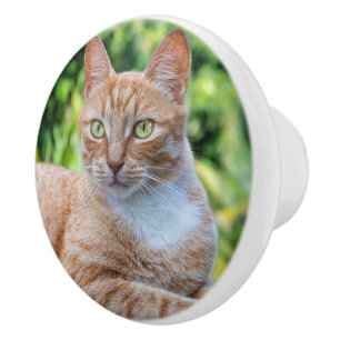 Bouton De Porte En Céramique Petit chou doux