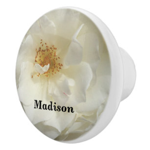 Bouton De Porte En Céramique Photo White Rose Flower with Large Bloom