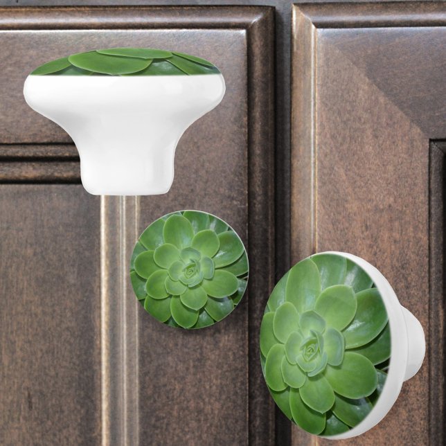 Bouton De Porte En Céramique Photographie botanique des succulents verts (Créateur téléchargé)