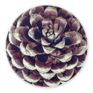 Bouton De Porte En Céramique Pinecone nature rustique automne hiver