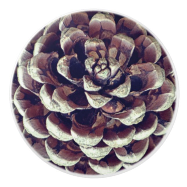 Bouton De Porte En Céramique Pinecone nature rustique automne hiver (Devant)