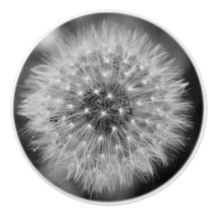 Bouton De Porte En Céramique Pissenlit