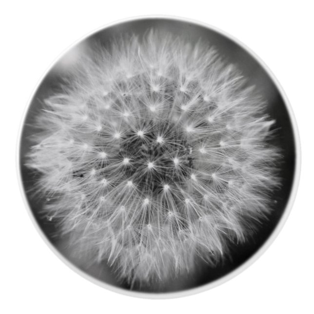 Bouton De Porte En Céramique Pissenlit (Devant)