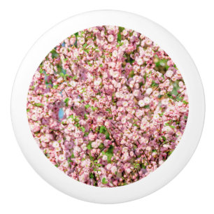 Bouton De Porte En Céramique Plum à fleurs
