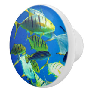 Bouton De Porte En Céramique Poisson marin jaune avec des rayures noires
