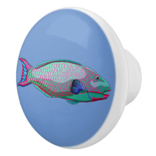 Bouton De Porte En Céramique Poisson perroquet