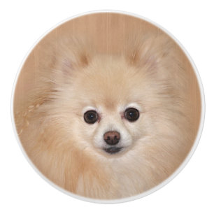 Bouton De Porte En Céramique Pomeranian font face