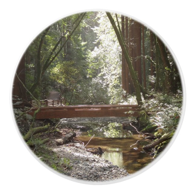 Bouton De Porte En Céramique Pont Muir Woods II (Devant)