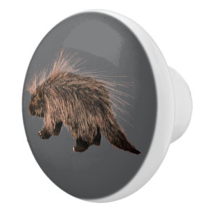 Bouton De Porte En Céramique Porc Épineux