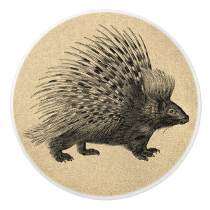 Bouton De Porte En Céramique Porcupine mis en cage