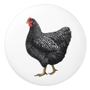 Bouton De Porte En Céramique Poulet d'élevage de poulets Tiroir