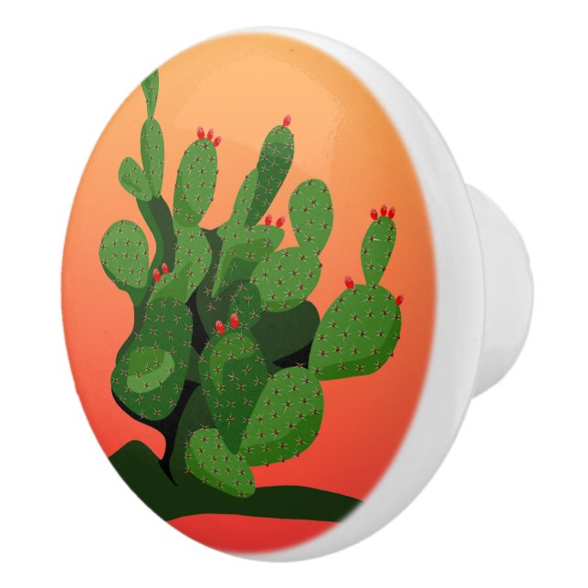 Bouton De Porte En Céramique Prickly Pear Desert Sunset Door Knoor (Droite)