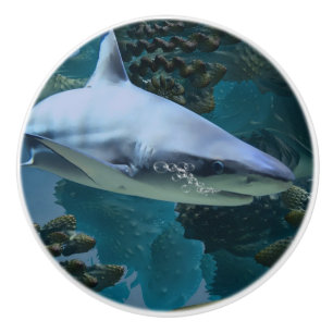 Bouton De Porte En Céramique Puissance des requins