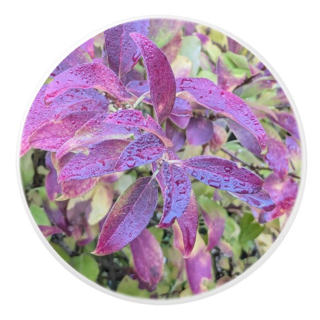 Bouton De Porte En Céramique Purple autumn leaves (Devant)