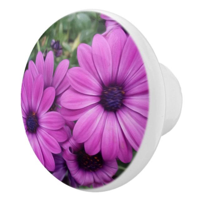 Bouton De Porte En Céramique Purple daisies (Droite)