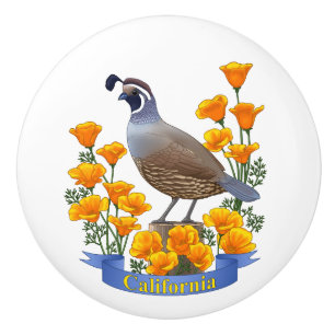 Bouton De Porte En Céramique Quail d'oiseaux de l'État de Californie et coqueli