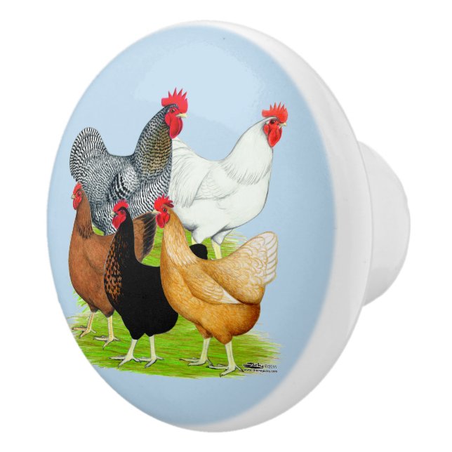 Bouton De Porte En Céramique Quintette de poulet liée au sexe (Droite)