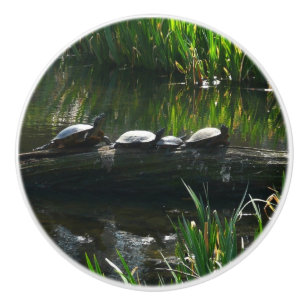 Bouton De Porte En Céramique Rangée de tortues Green Nature Photo