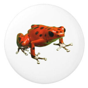 Bouton De Porte En Céramique Red Poison Dart Frog