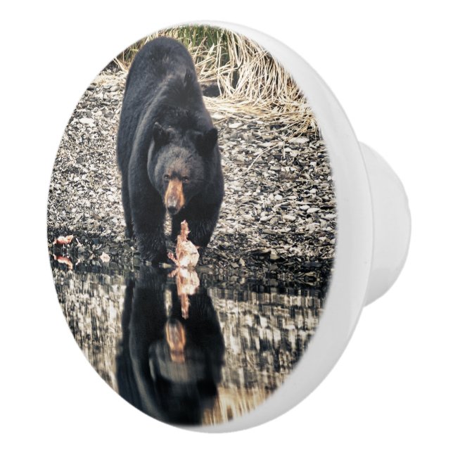 Bouton De Porte En Céramique Réflexions de l'ours noir (Droite)