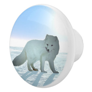 Bouton De Porte En Céramique Renard arctique