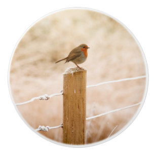 Bouton De Porte En Céramique Robin d'hiver Redsein