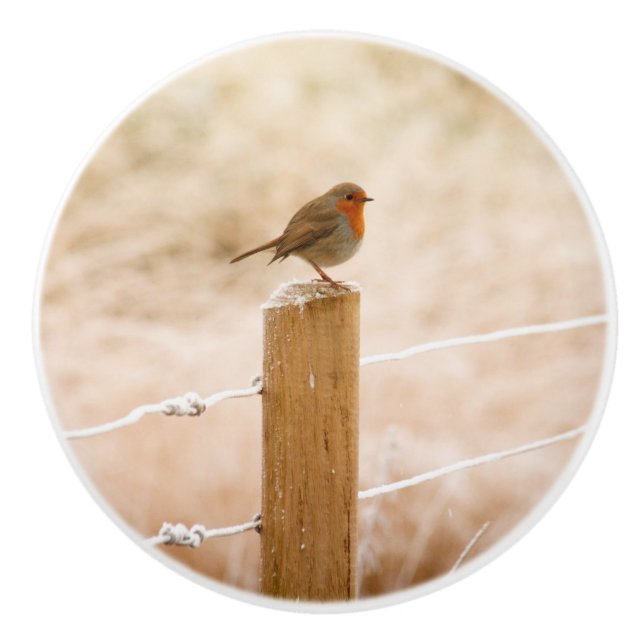 Bouton De Porte En Céramique Robin d'hiver Redsein (Devant)