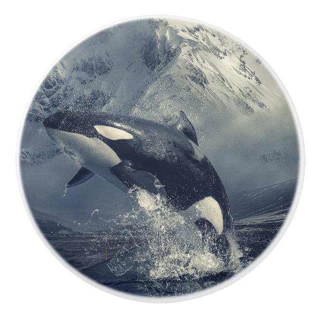 Bouton De Porte En Céramique Sauts de baleines tueuses sauvages (Devant)