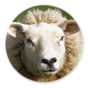 BOUTON DE PORTE EN CÉRAMIQUE SHEEP