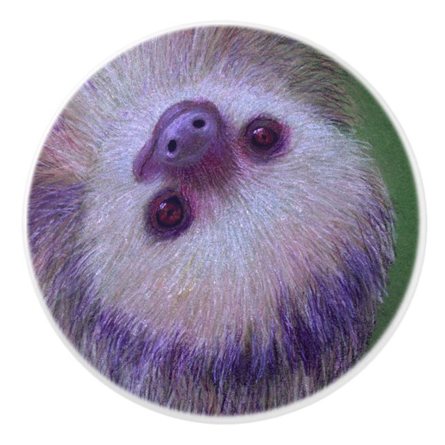 Bouton De Porte En Céramique Sloth (Devant)