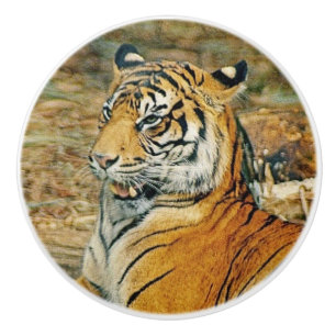 Bouton De Porte En Céramique Tigre