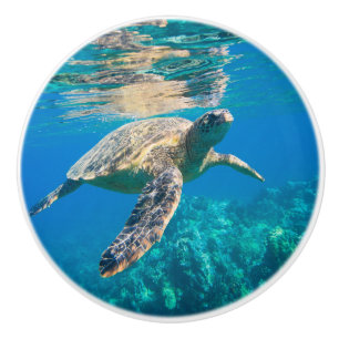 Bouton De Porte En Céramique Tortue de mer