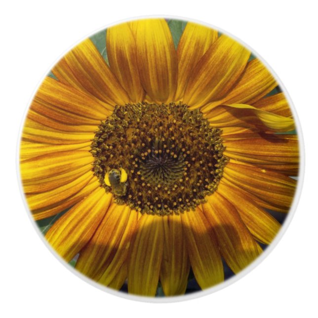 Bouton De Porte En Céramique Tournesol (Devant)