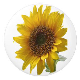 Bouton De Porte En Céramique Tournesol noueux