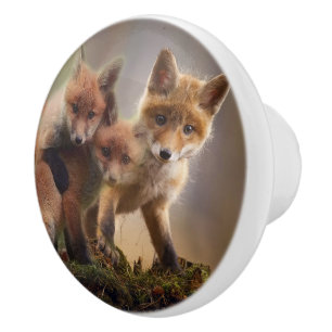 Bouton De Porte En Céramique Triplets Foxy