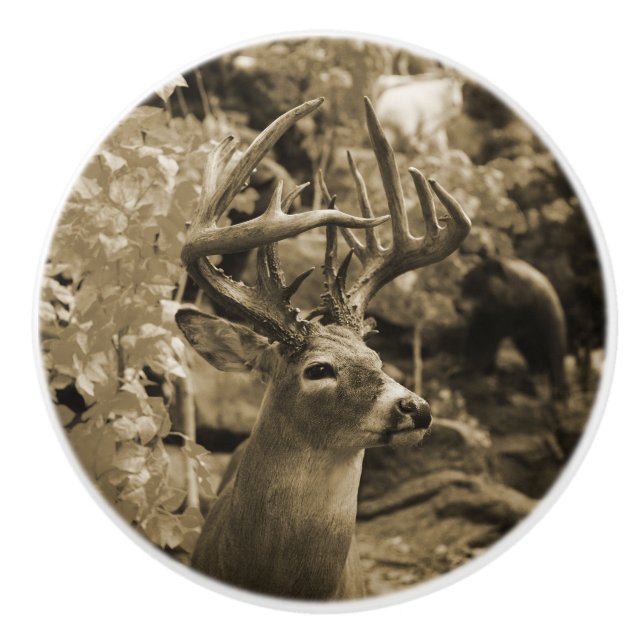 Bouton De Porte En Céramique Trophée Deer (Devant)
