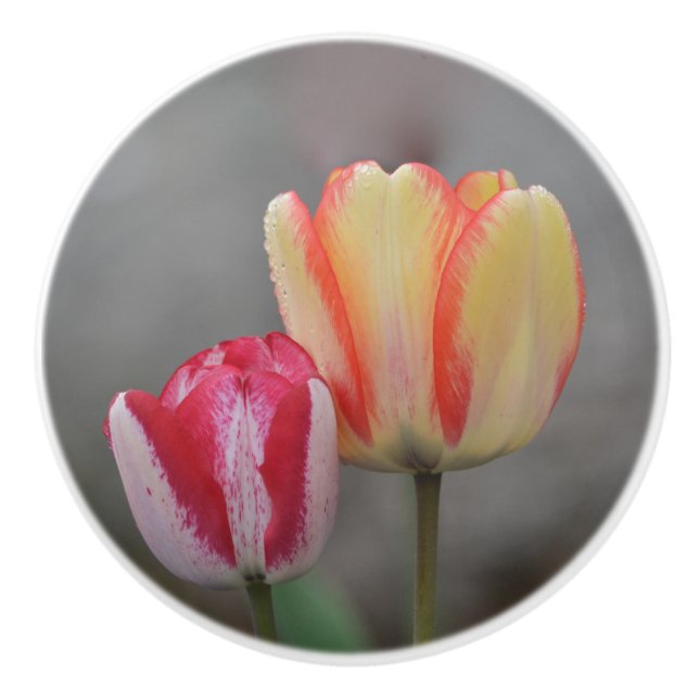 Bouton De Porte En Céramique Tulip Ceramic Knob (Devant)