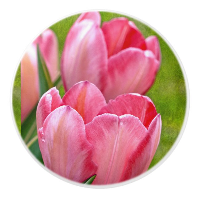 Bouton De Porte En Céramique Tulipes roses (Devant)