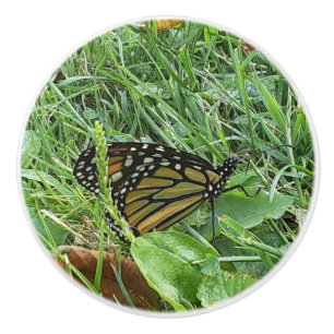 Bouton De Porte En Céramique Un papillon monarque