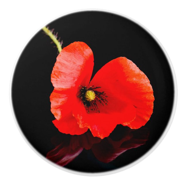 Bouton De Porte En Céramique Un seul pavot rouge en noir (Devant)